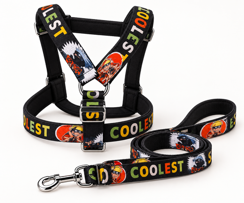 Black dog harness and matching leash with multicolour COOLEST print